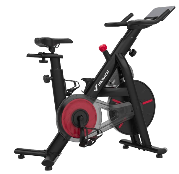 Mr price sport online exercise bike